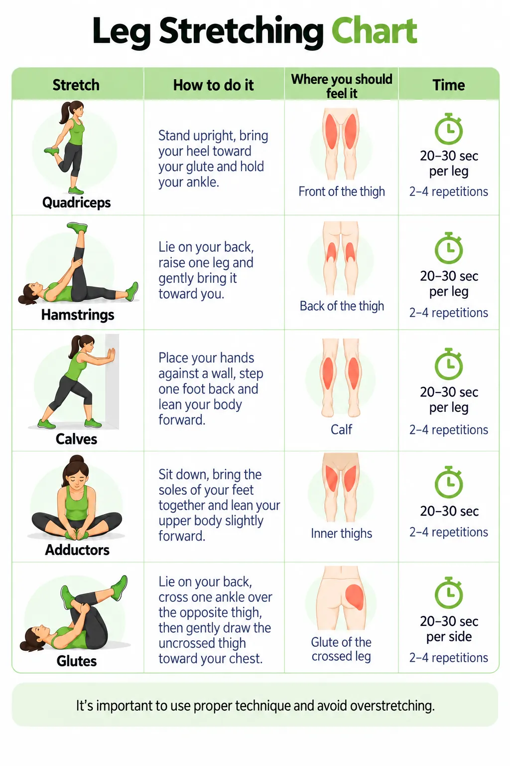 Illustrated leg stretching chart for quadriceps, hamstrings, calves, adductors and glutes