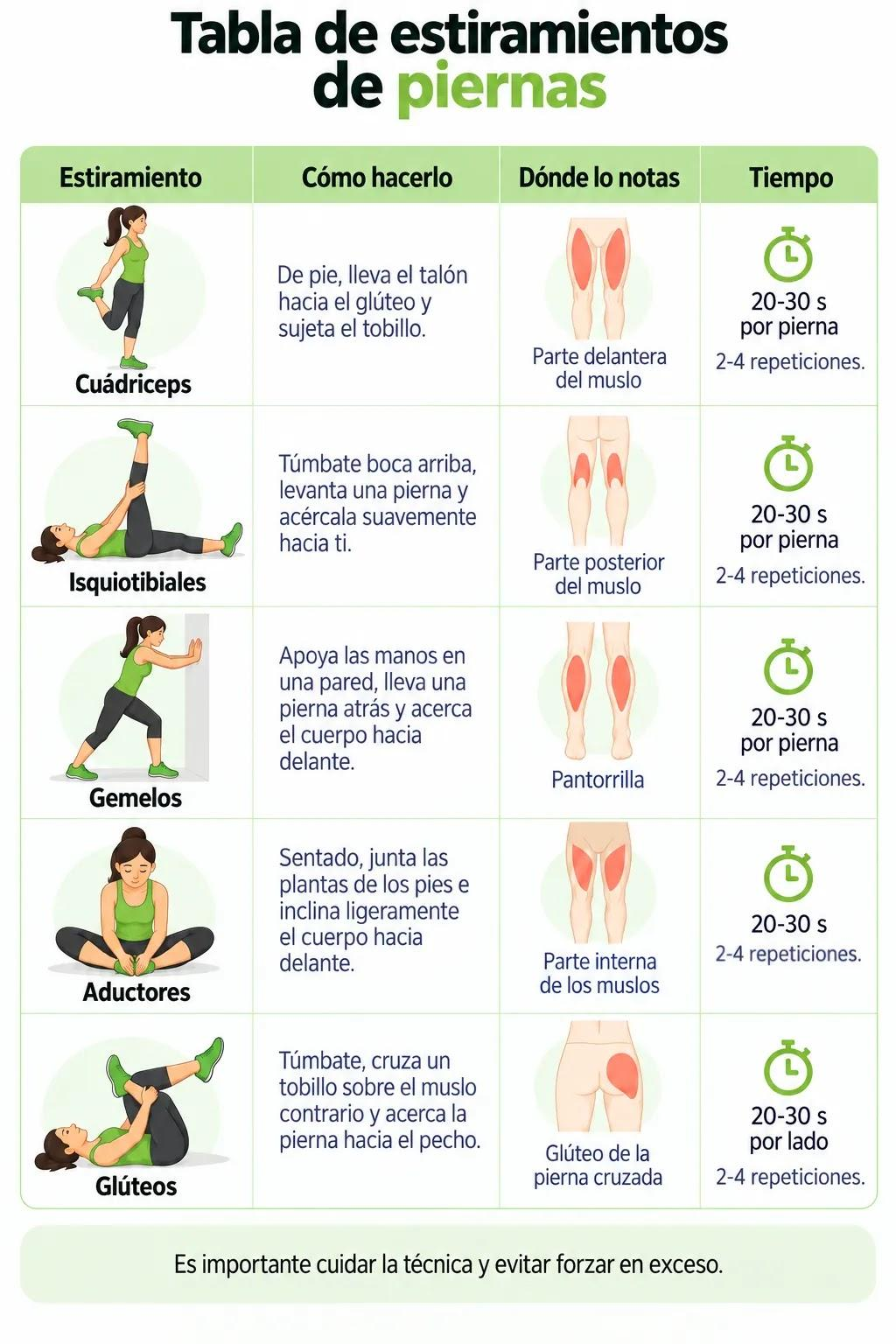 Tabla ilustrada de estiramientos de piernas para cuádriceps, isquiotibiales, gemelos, aductores y glúteos